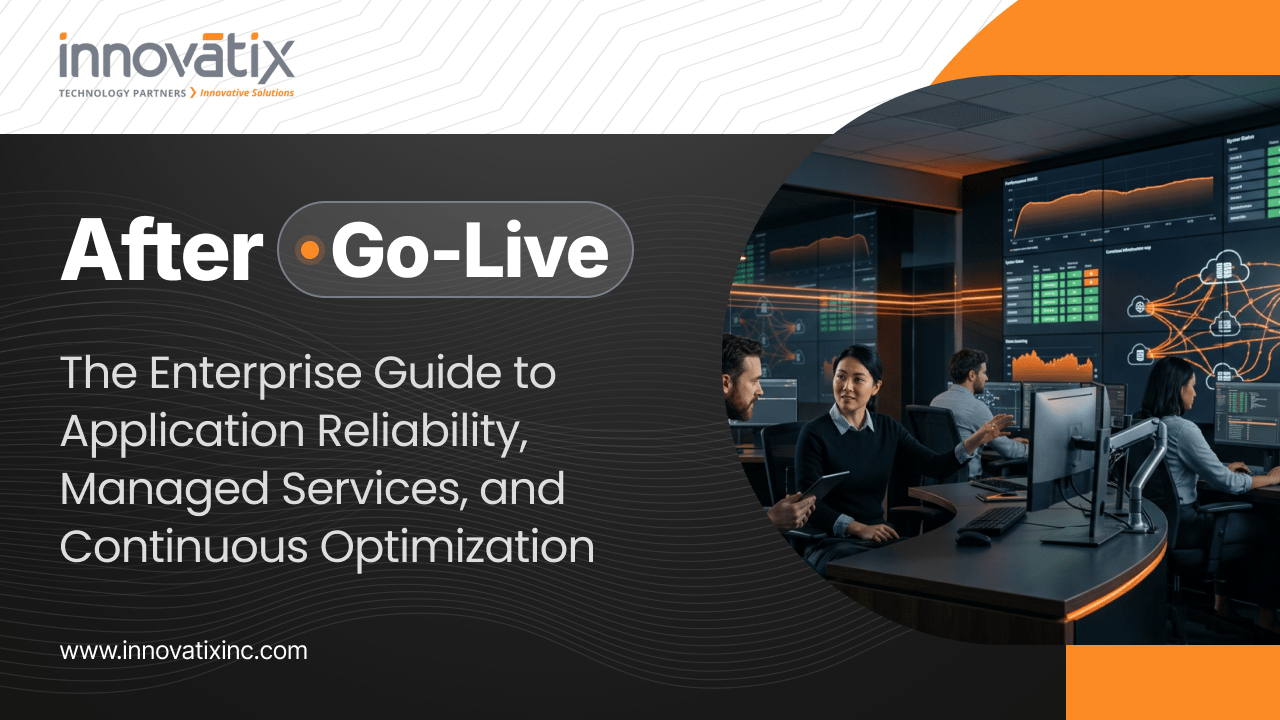 Enterprise Whitepaper Banner - After Go-Live - The Enterprise Guide
