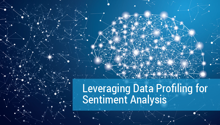 Sentiment Data Police Case Study: Data Profiling for Sentiment Analysis